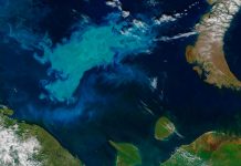 A ‘regime shift’ is happening in the Arctic Ocean, says new research A 'regime shift' is happening in the Arctic Ocean, says new research