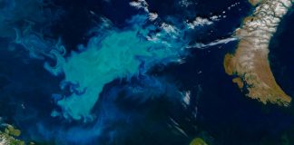 A ‘regime shift’ is happening in the Arctic Ocean, says new research A 'regime shift' is happening in the Arctic Ocean, says new research