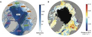 The left image shows the Arctic Ocean with its shelf seas and basin. Green arrows indicate inflow currents; purple arrows indicate outflow currents. The right image shows the rate of change in chlorophyll in the Arctic Ocean between 1998 and 2018, measured in milligrams per cubic meter per year. Gray lines outline subregions. Black pixels indicate no data. (Image credit: Kate Lewis. Data source: NASA)