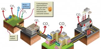 Atmospheric: Agriculture – a climate villain? Maybe not! Agriculture - a climate villain? Maybe not!