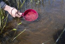 Atmospheric: Climate change: Heavy rain after drought may cause fish kills Climate change: Heavy rain after drought may cause fish kills