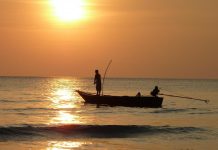 Atmospheric: Social media inspired models show winter warming hits fish stocks Social media inspired models show winter warming hits fish stocks