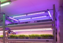 Atmospheric: Space to grow, or grow in space — how vertical farms could be ready to take-off Space to grow, or grow in space -- how vertical farms could be ready to take-off
