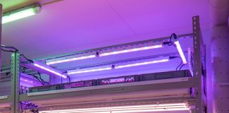 Atmospheric: Space to grow, or grow in space — how vertical farms could be ready to take-off Space to grow, or grow in space -- how vertical farms could be ready to take-off