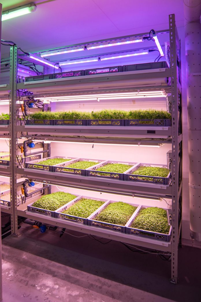 Space to grow, or grow in space -- how vertical farms could be ready to take-off