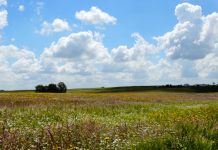 Atmospheric: Study reveals scale of habitat loss for endangered birds Study reveals scale of habitat loss for endangered birds