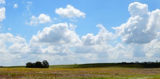 Atmospheric: Study reveals scale of habitat loss for endangered birds Study reveals scale of habitat loss for endangered birds