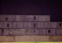 Breakthrough in studying ancient DNA from Doggerland that separates the UK from Europe (Study) Breakthrough in studying ancient DNA from Doggerland that separates the UK from Europe