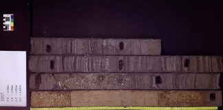 Breakthrough in studying ancient DNA from Doggerland that separates the UK from Europe (Study) Breakthrough in studying ancient DNA from Doggerland that separates the UK from Europe