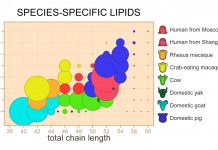 Milk lipids follow the evolution of mammals (Study) Milk lipids follow the evolution of mammals