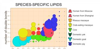 Milk lipids follow the evolution of mammals (Study) Milk lipids follow the evolution of mammals