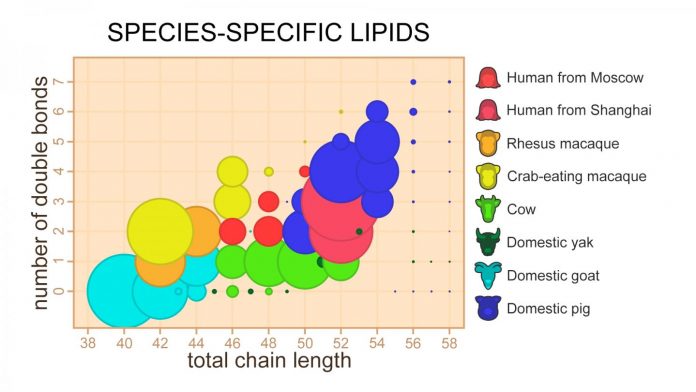 Milk lipids follow the evolution of mammals