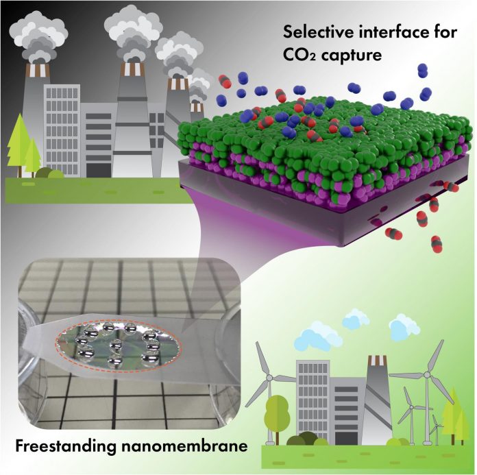 Molecularly thin interface between polymers -- for efficient CO2 capture membrane