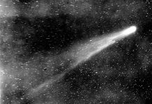 NEOWISE Comet will make a daily appearance — if you know where to look NEOWISE Comet will make a daily appearance — if you know where to look