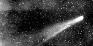 NEOWISE Comet will make a daily appearance — if you know where to look NEOWISE Comet will make a daily appearance — if you know where to look