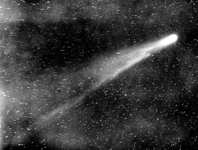NEOWISE Comet will make a daily appearance — if you know where to look