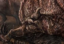 New Mygatt-Moore quarry research leads to prehistoric climate finds (Study) New Mygatt-Moore quarry research leads to prehistoric climate finds