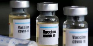 New research reveals Oxford coronavirus vaccine produces strong immune response New research reveals Oxford coronavirus vaccine produces strong immune response