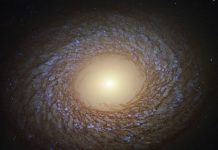 Photo: Hubble Spots Feathered Spiral Galaxy NGC 2775 Photo: Hubble Spots Feathered Spiral Galaxy NGC 2775