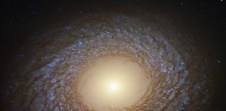 Photo: Hubble Spots Feathered Spiral Galaxy NGC 2775 Photo: Hubble Spots Feathered Spiral Galaxy NGC 2775