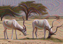 Researchers Discover the Correlation Between Our Vision Researchers Discover the Correlation Between Our Vision