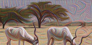 Researchers Discover the Correlation Between Our Vision Researchers Discover the Correlation Between Our Vision