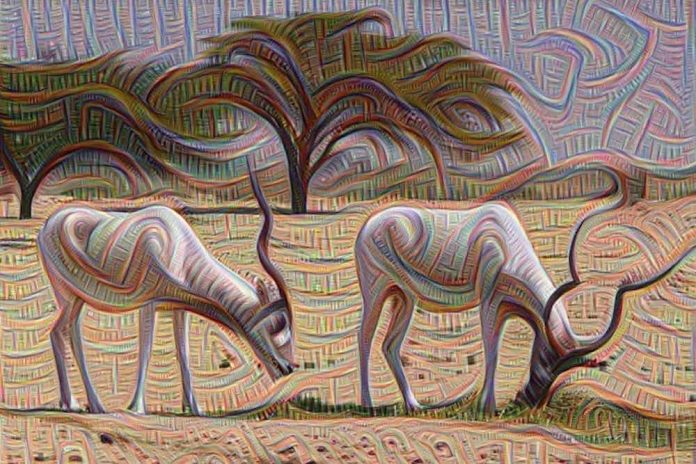 Researchers Discover the Correlation Between Our Vision