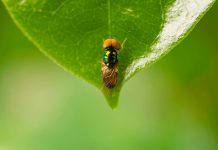 Researchers find hope toward increasing human lifespan Researchers find hope toward increasing human lifespan