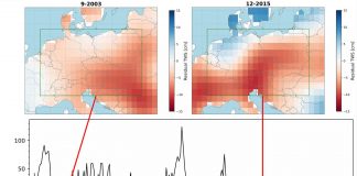 Satellite data show severity of drought summers in 2018 and 2019 (Study) Satellite data show severity of drought summers in 2018 and 2019