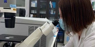 Scientists find new targets for deadly children’s brain tumour Scientists find new targets for deadly children’s brain tumour