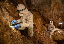 Stone tools discovered in Mexico point to earlier North American settlers (New Study) Stone tools discovered in Mexico point to earlier North American settlers (New Study)