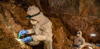 Stone tools discovered in Mexico point to earlier North American settlers (New Study) Stone tools discovered in Mexico point to earlier North American settlers (New Study)