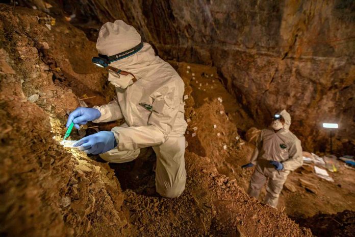 Stone tools discovered in Mexico point to earlier North American settlers (New Study)