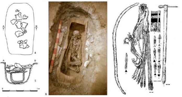 Study: DNA reveals 2,500-year-old Siberian warrior was a woman