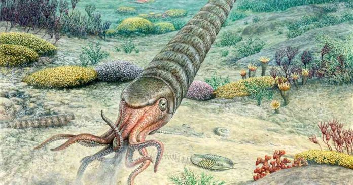 Study: This Ancient Sea Creature Builds Its Body With a Whisper, not a Scream