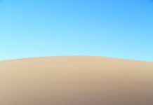 Supergenes play a larger role in evolution than previously thought (Study) Supergenes play a larger role in evolution than previously thought