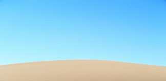 Supergenes play a larger role in evolution than previously thought (Study) Supergenes play a larger role in evolution than previously thought