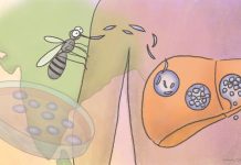 Tech: Getting a grasp on India’s malaria burden Getting a grasp on India's malaria burden