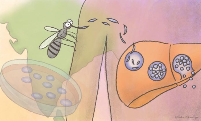 Getting a grasp on India's malaria burden