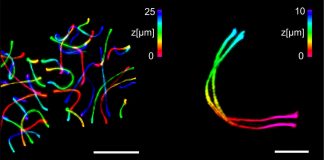 Tech: High-end microscopy refined | EurekAlert! Science News High-end microscopy refined | EurekAlert! Science News