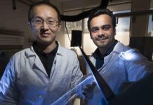 Tech: New organic material unlocks faster and more flexible electronic devices New organic material unlocks faster and more flexible electronic devices