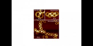 Tech: Polymers self-assembling like links of a chain for innovative materials Polymers self-assembling like links of a chain for innovative materials