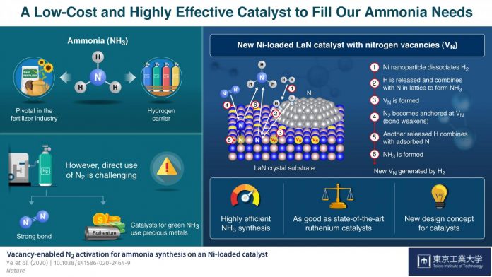 Running on empty: New affordable catalyst relies on nitrogen vacancies to produce ammonia