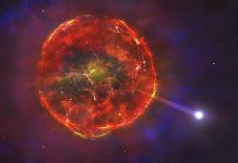 Thermonuclear blast sends supernova survivor star hurtling across the Milky Way (Study) Thermonuclear blast sends supernova survivor star hurtling across the Milky Way