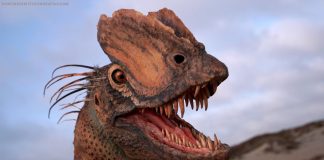 ‘Venomous’ dinosaur more bird than lizard, finds new research 'Venomous' dinosaur more bird than lizard, finds new research