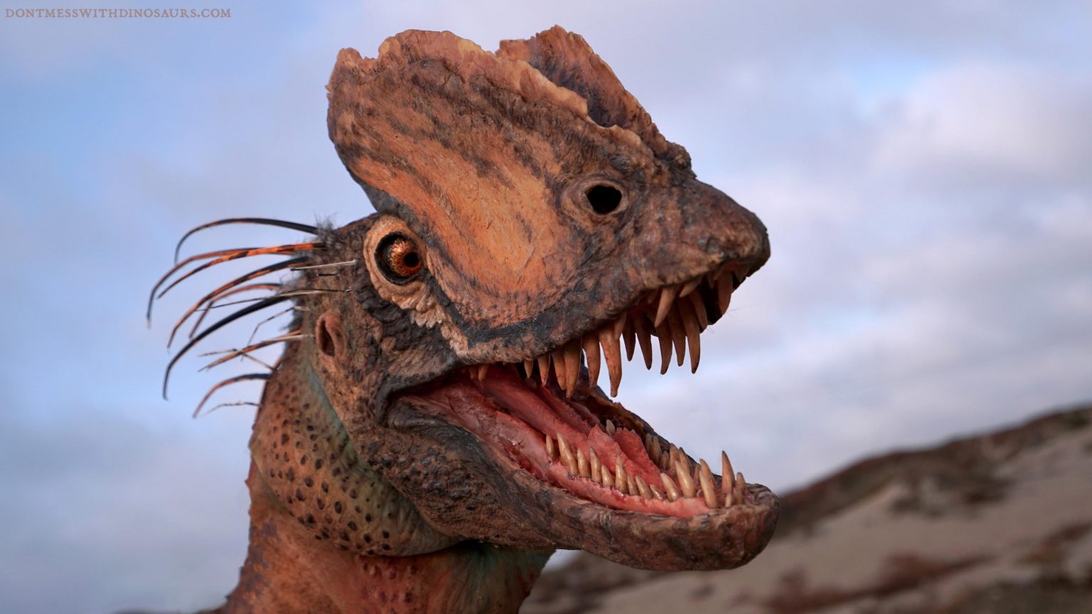 dinosaur with frill around neck