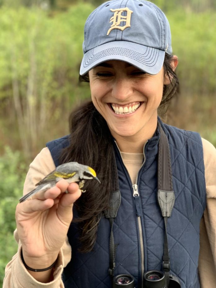 What determines a warbler's colors?