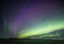Picture: Comet NEOWISE Brightens the Night