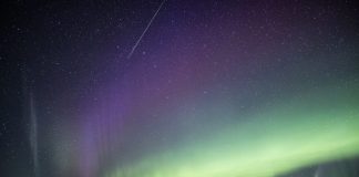Picture: Comet NEOWISE Brightens the Night