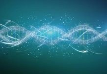 DNA from Denisovans, unidentified ancestor was passed down to humans living today (Science News) DNA from Denisovans, unidentified ancestor was passed down to humans living today (Science News)